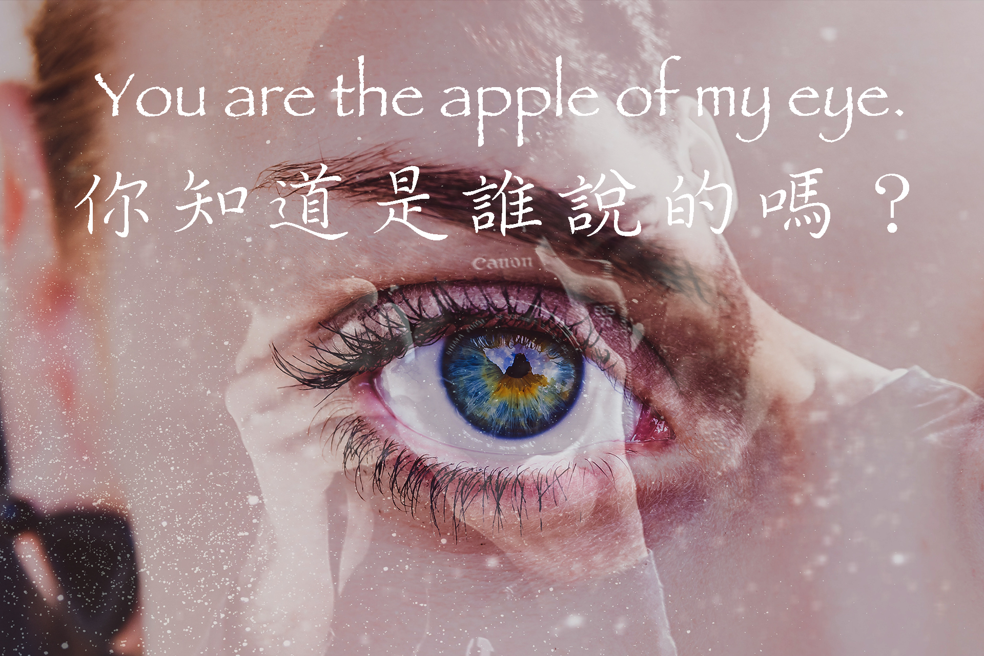 [聖經]You are the apple of my eye.你知道這句情話是誰說的嗎